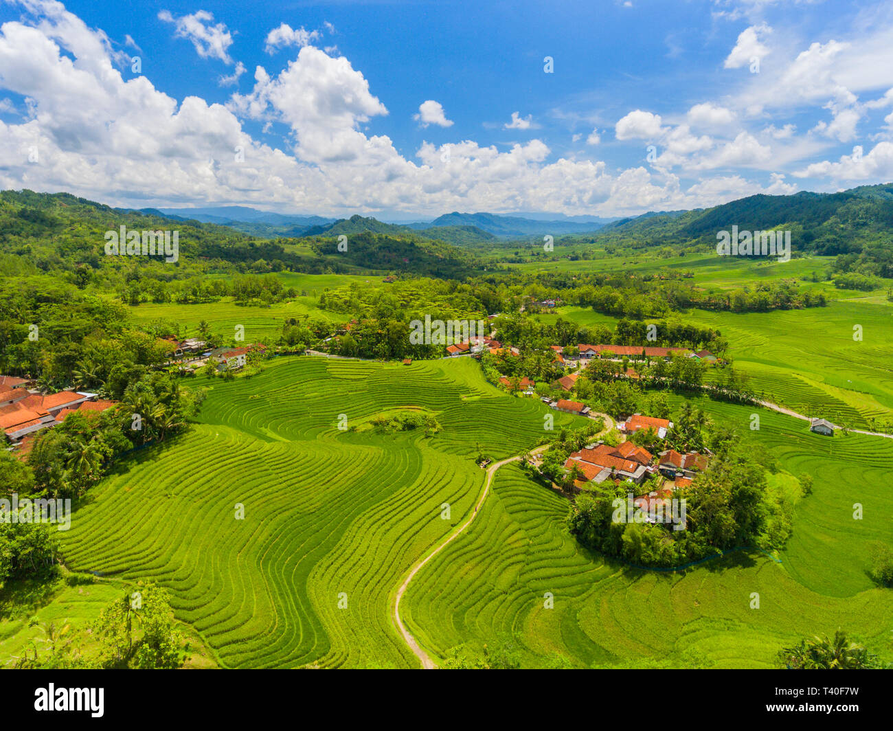 Rolling landscape of paddy rice fields interrupted by hamlets Stock Photo