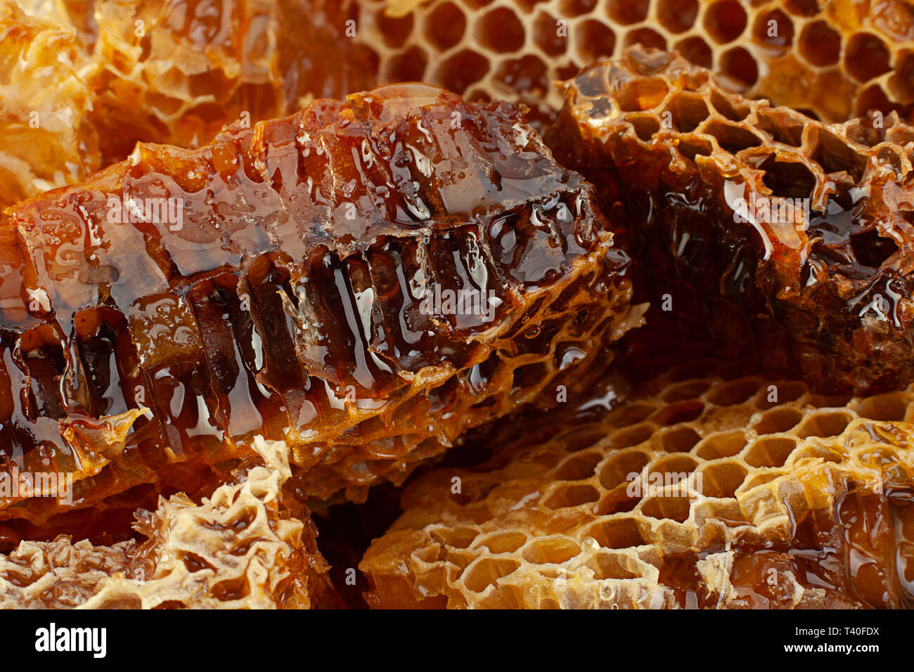 slice closeup texture detail horizontal background Stock