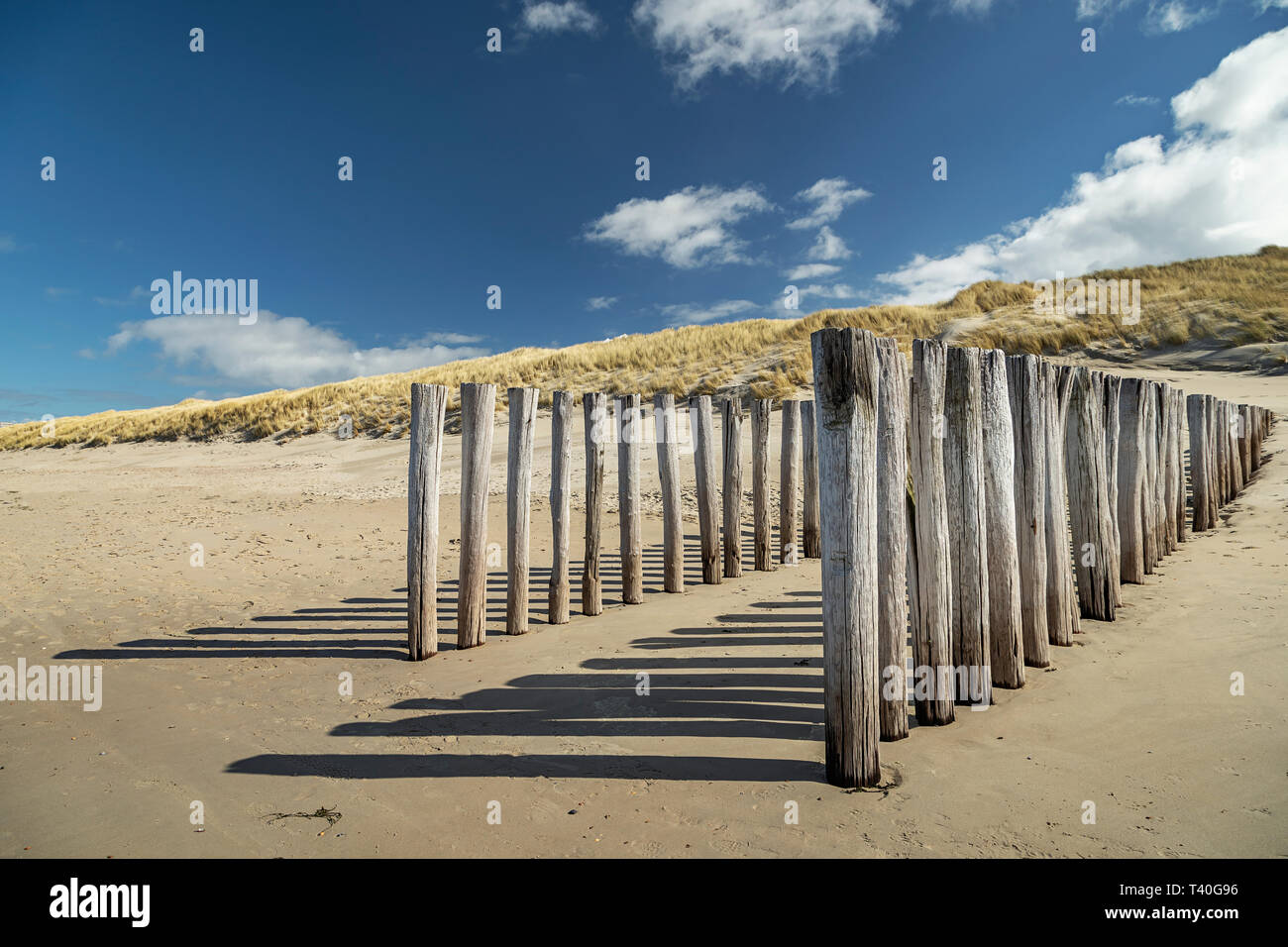 View to Timber Piles and Dunes at Domburg Beach / Netherlands Stock