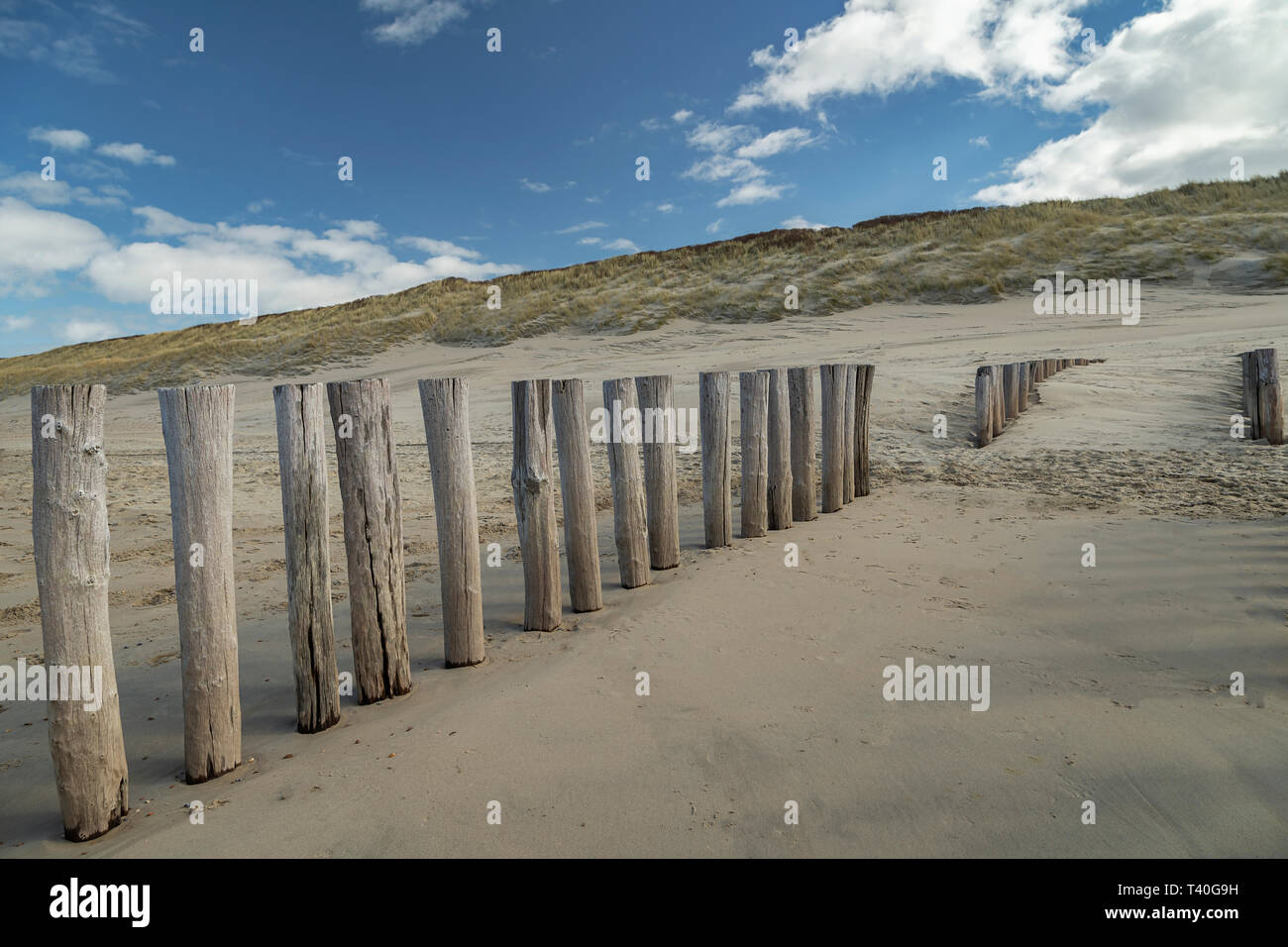 View to timber Piles at Domburg Beach/ Netherlands Stock Photo Alamy