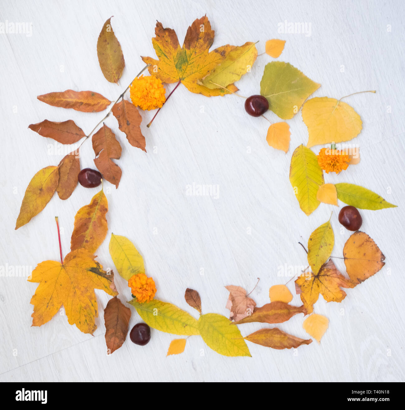 Autumn composition. Fall leaves on white background. Flat lay, top view Stock Photo