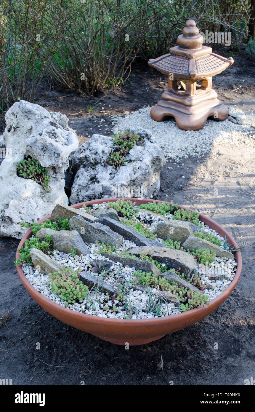 Small oriental garden for relaxing. The art of Japanese arrangement