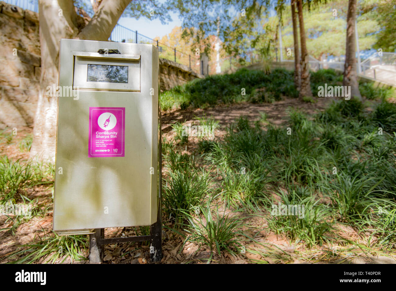 A free sharps (syringes) deposit container in a park in the inner Sydney suburb of Surry Hills