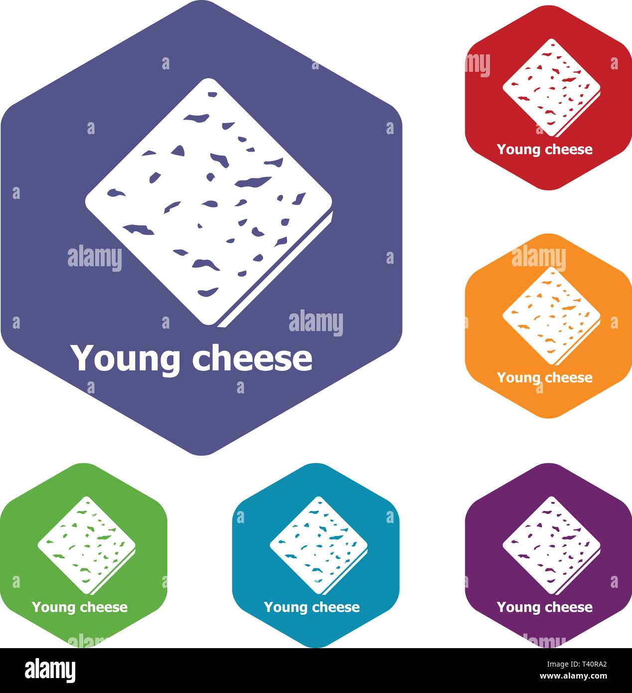 Young cheese icons vector hexahedron Stock Vector
