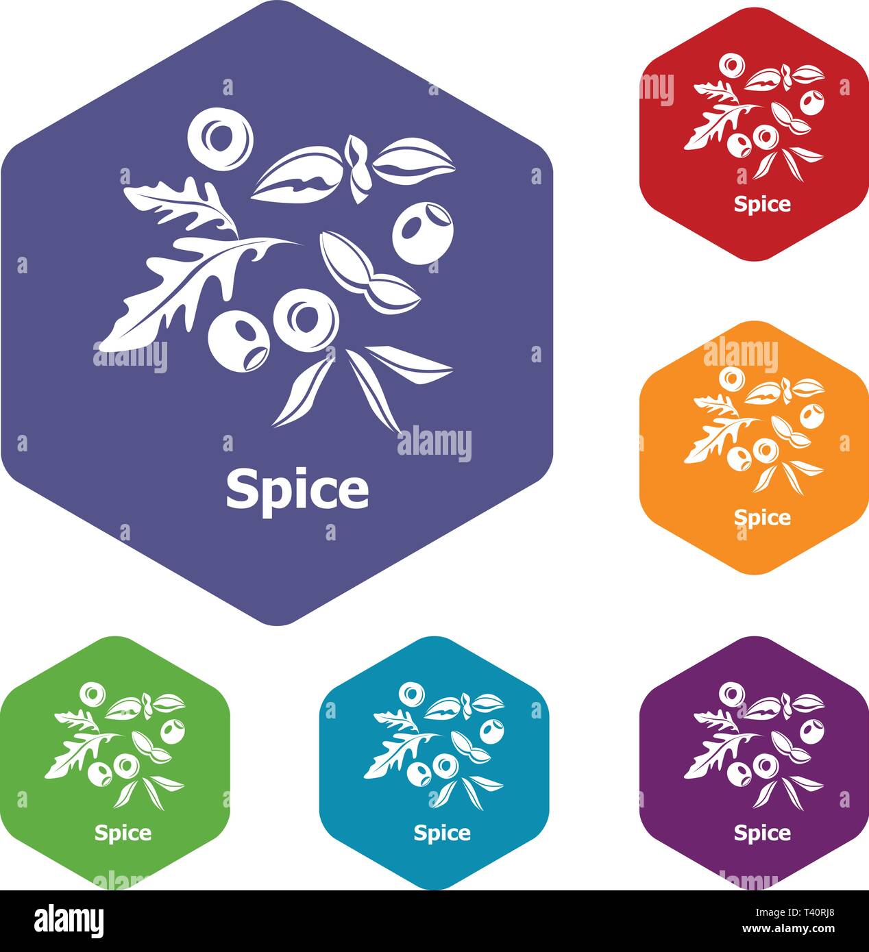 Spice icons vector hexahedron Stock Vector