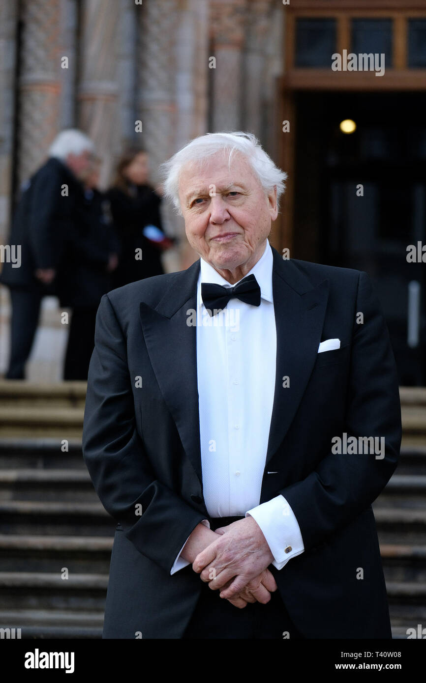 Sir David Attenborough attends The global premiere of Netflix’s OUR PLANET on Thursday 4 April 2019 at The Natural History Museum, London. . Picture by Julie Edwards. Stock Photo