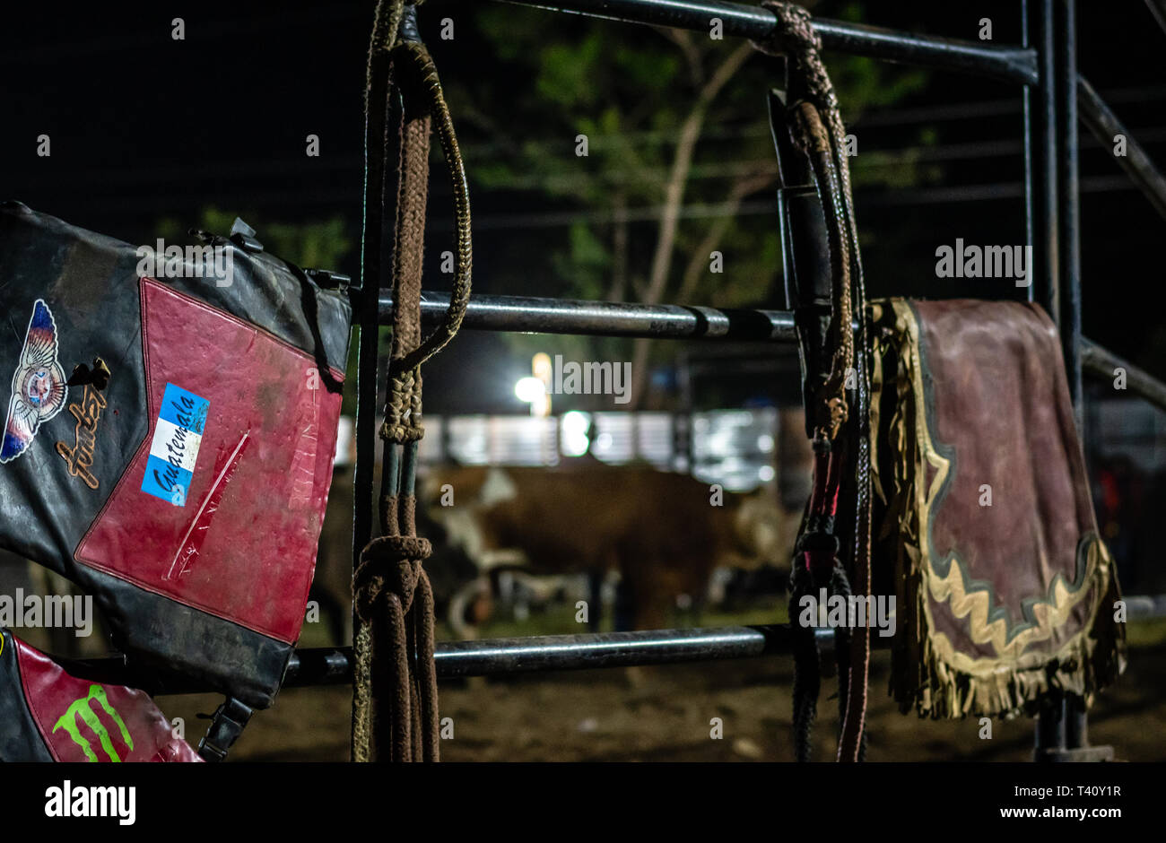 Top more than 69 bull riding bags super hot in.duhocakina