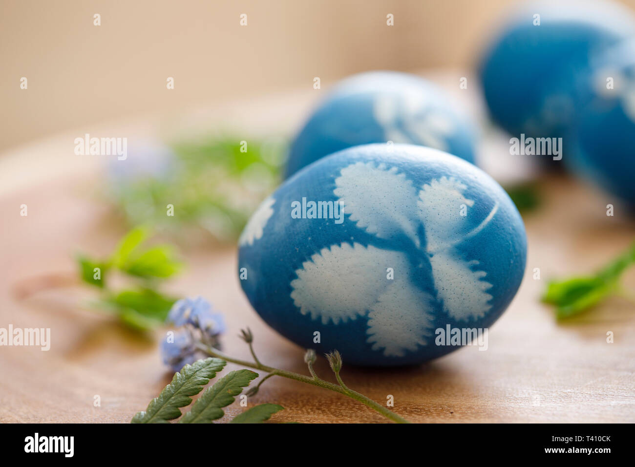Naturally dyed easter eggs Stock Photo