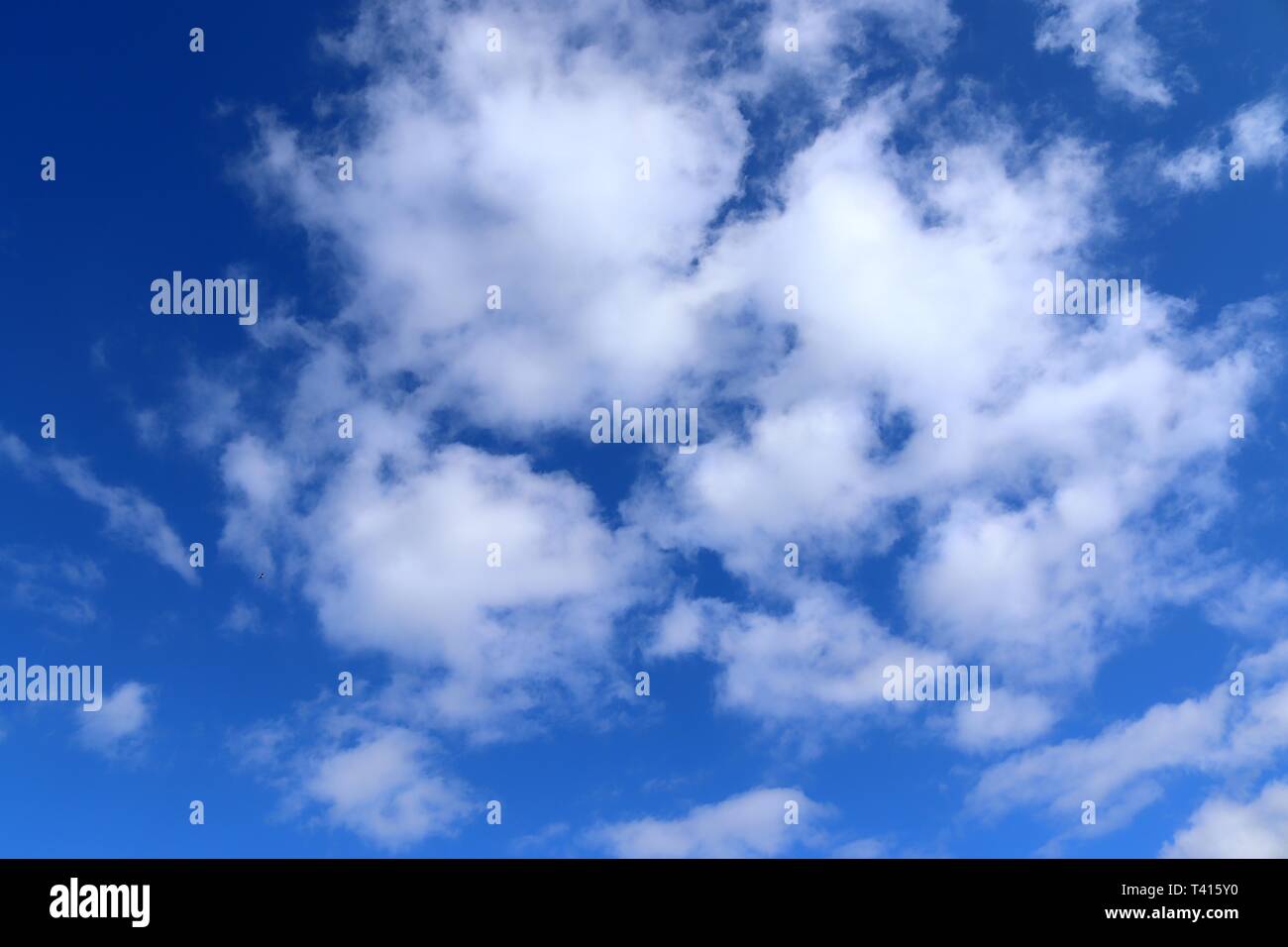 Beautiful fluffy white cumulus and cirrus clouds on a deep blue sky ...
