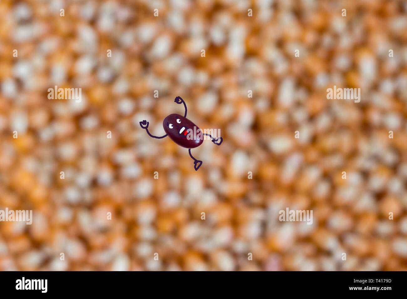 Red bean falling onto corn kernels Stock Photo