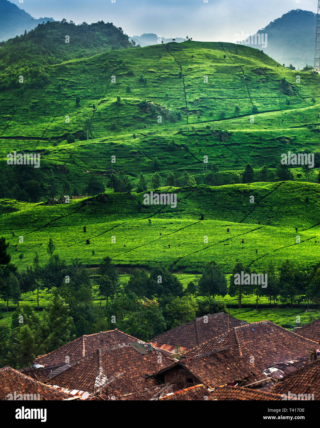 Tropical forest and mountain landscape, Indonesia Stock Photo