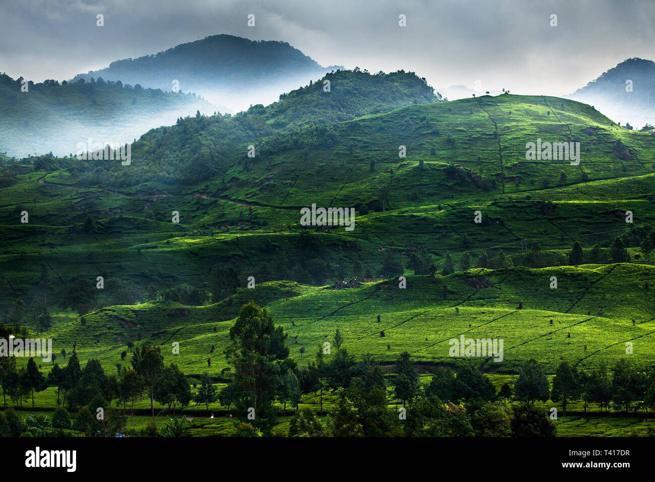 Tropical forest and mountain landscape, Indonesia Stock Photo