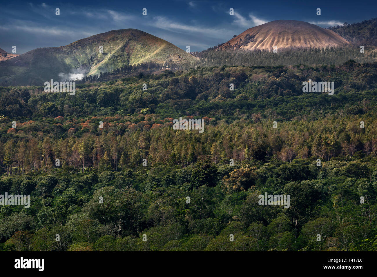 Tropical mountain and forest landscape, Indonesia Stock Photo