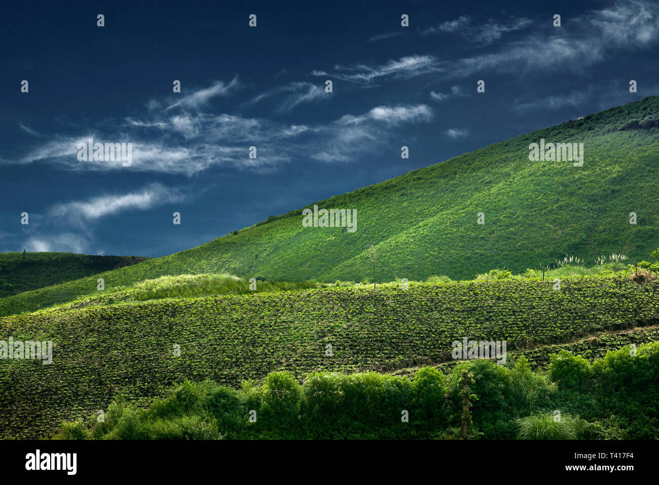 Tropical mountain landscape, Indonesia Stock Photo
