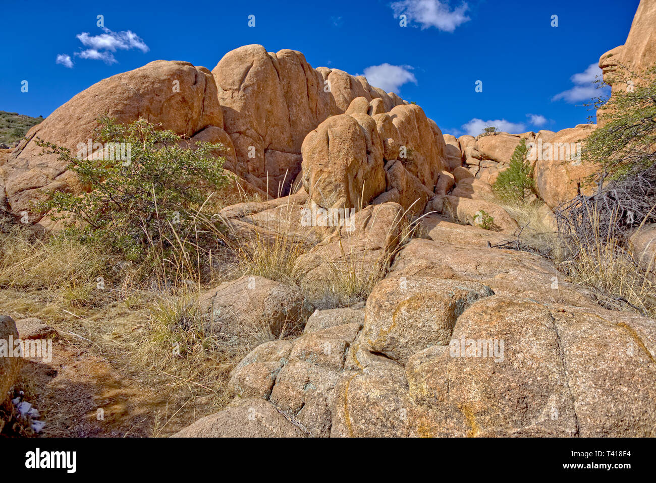The Ridgeback trail, Constellation Trail Park, Prescott, Arizona, United States Stock Photo