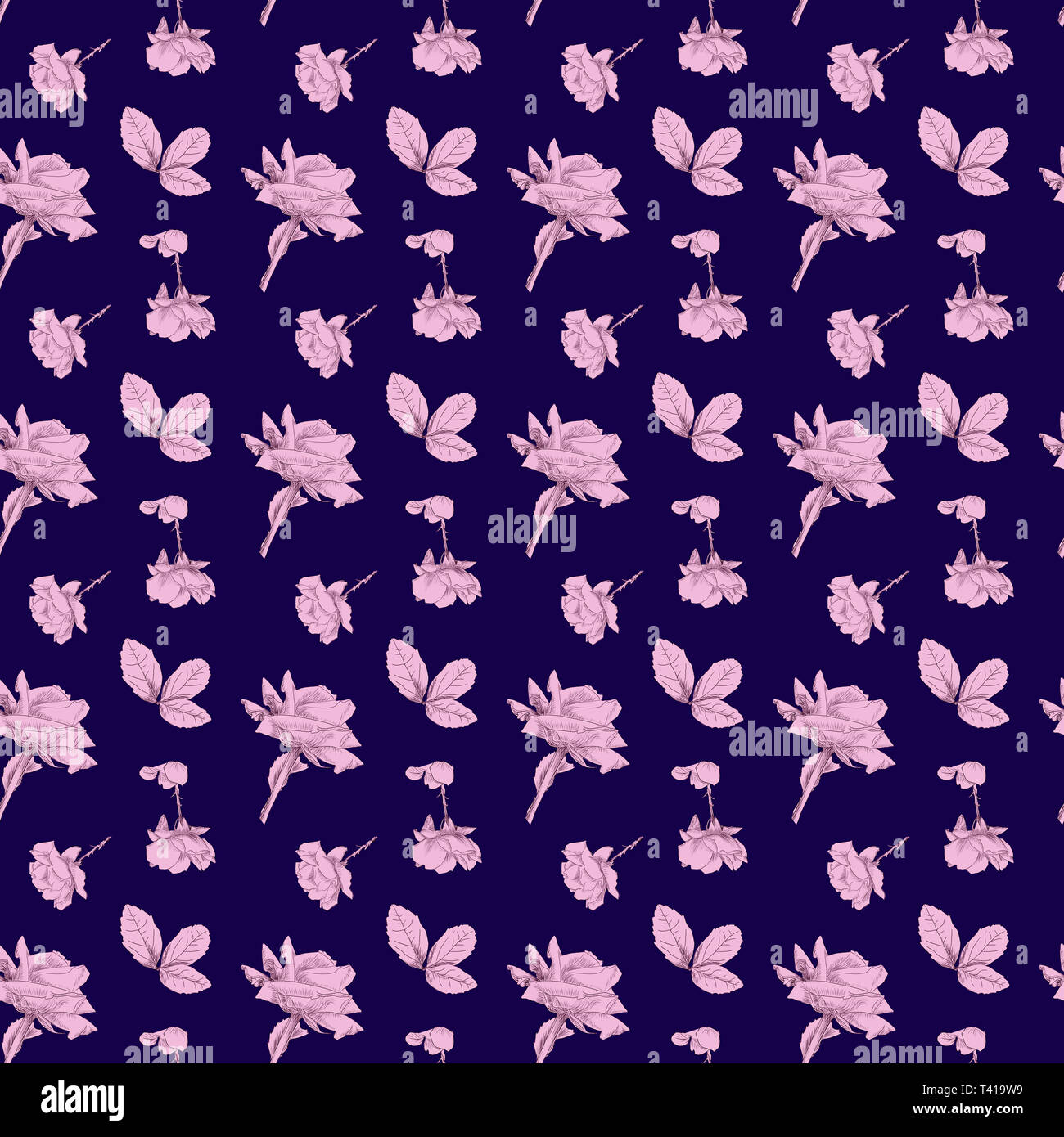 Pattern of hand drawn roses in pink with a blue colored background 1000x1000 px repeat by jziprian Stock Photo
