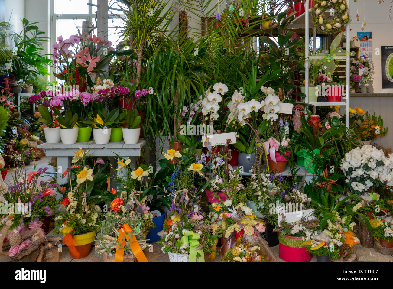 many flowers and bouquets stand in a florist's shop Stock Photo