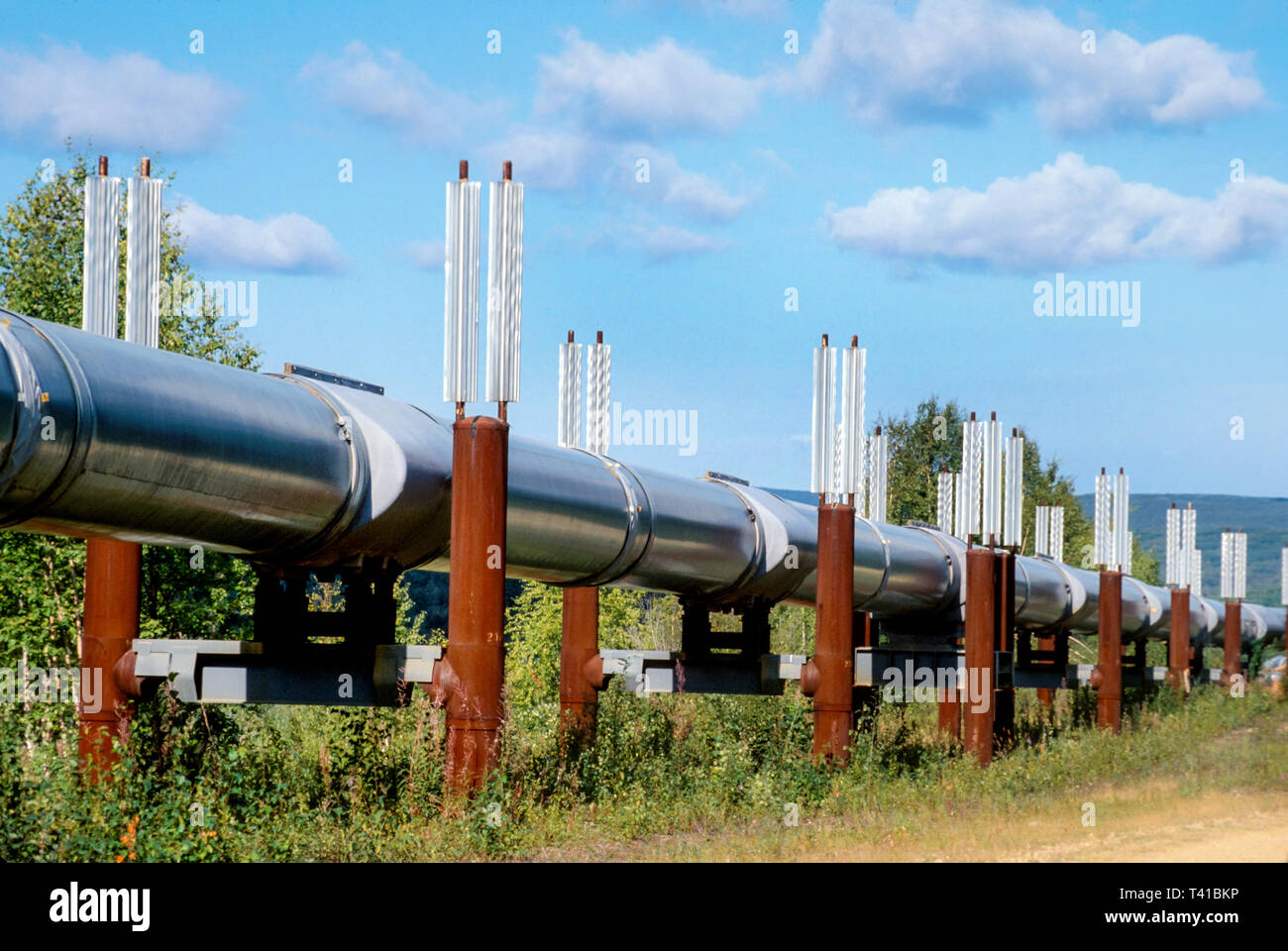 Alaska Alaskan Fairbanks Trans Alaskan Pipeline,above ground oil, Stock Photo