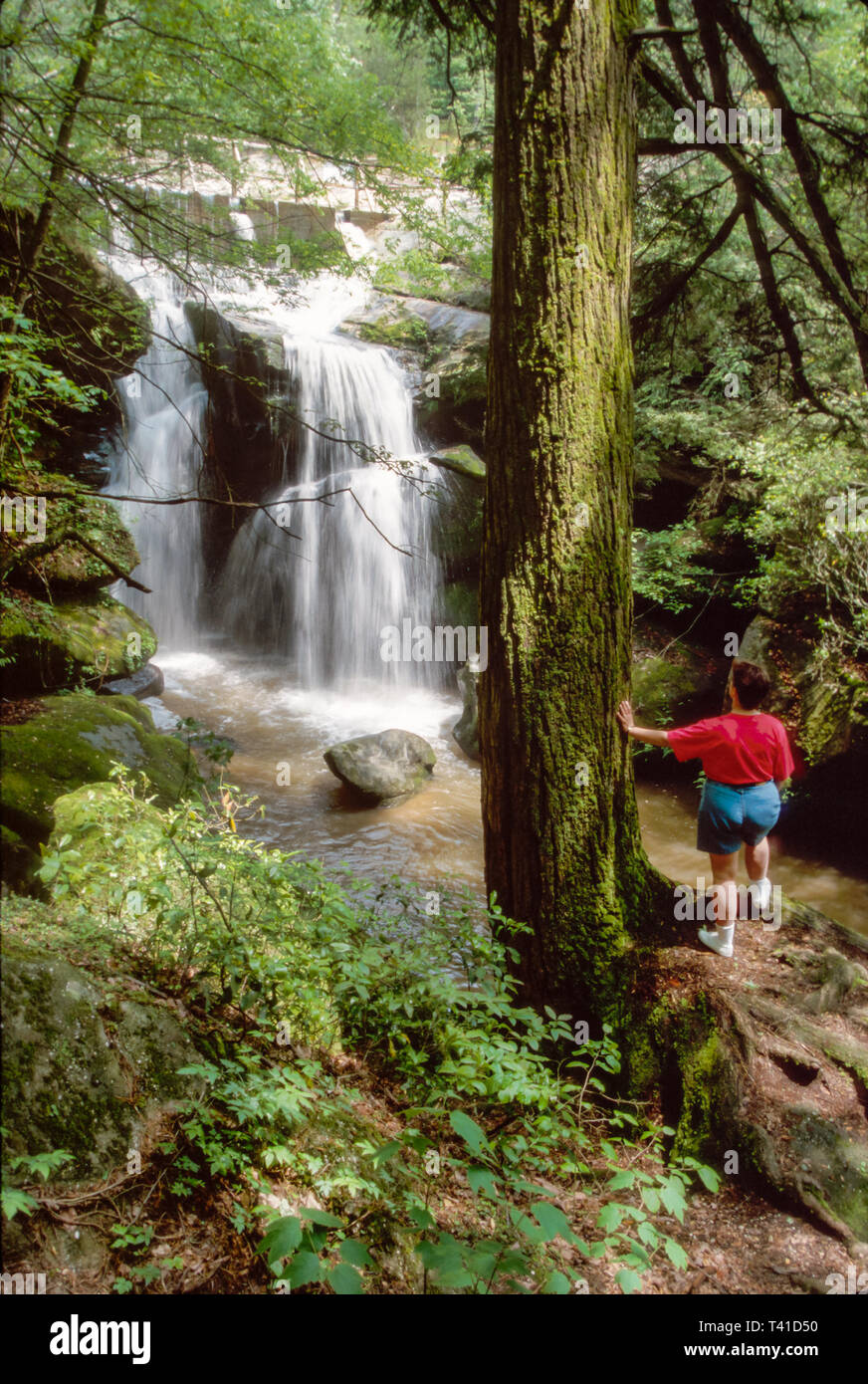 Alabama, AL, South, Phil Campbell Dismals Canyon Rainbow Falls