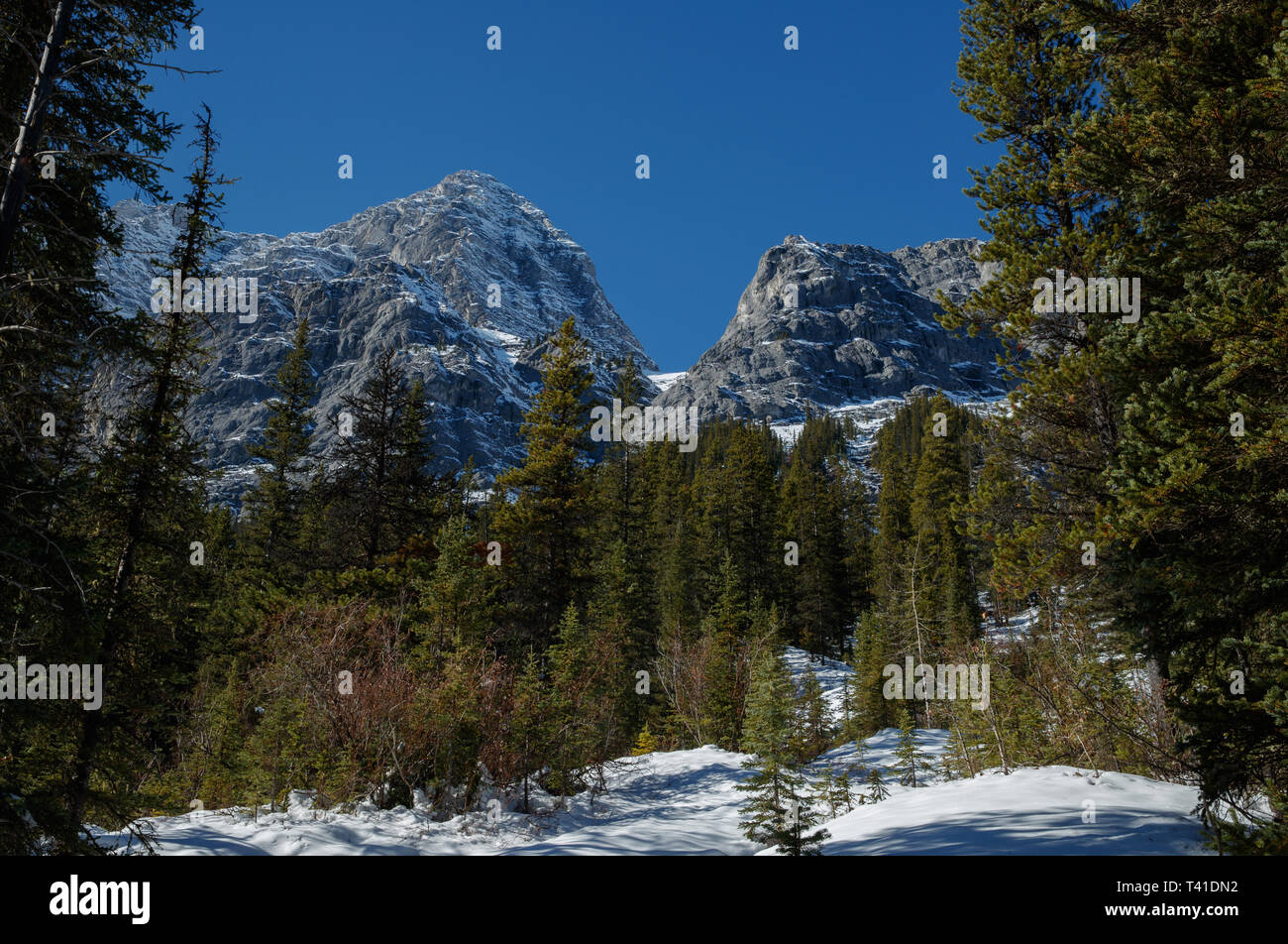 Goat mountain range in Kananaskis, Alberta, Canada Stock Photo Alamy