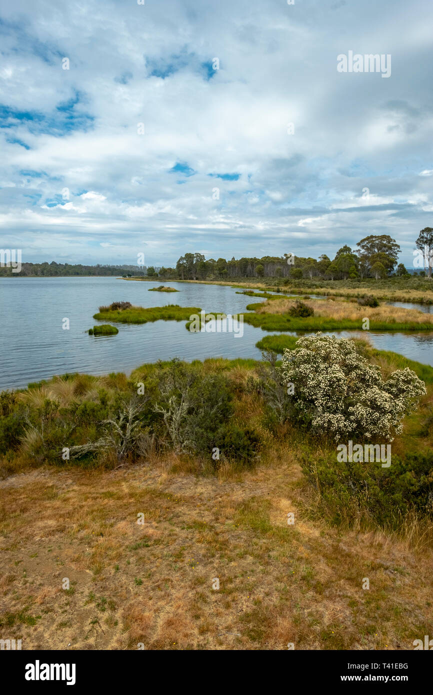 Bronte Lagoon. Beautiful tasmanian lake. Blue cloudy sky. Yellow grass