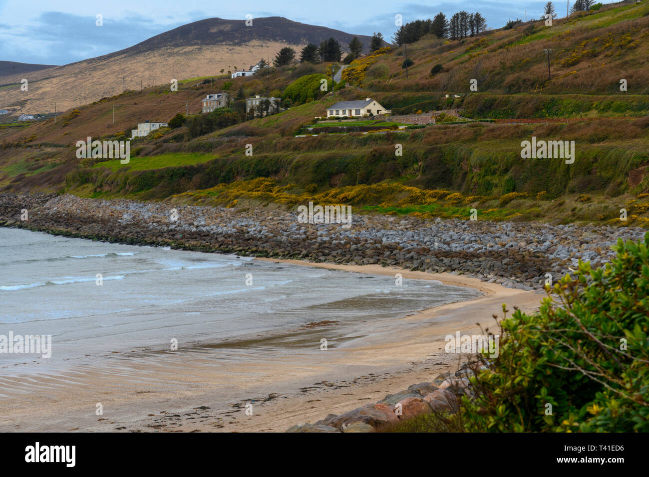 Beautiful Inch Beach, Dingle Peninsula, Ireland Stock Photo Alamy