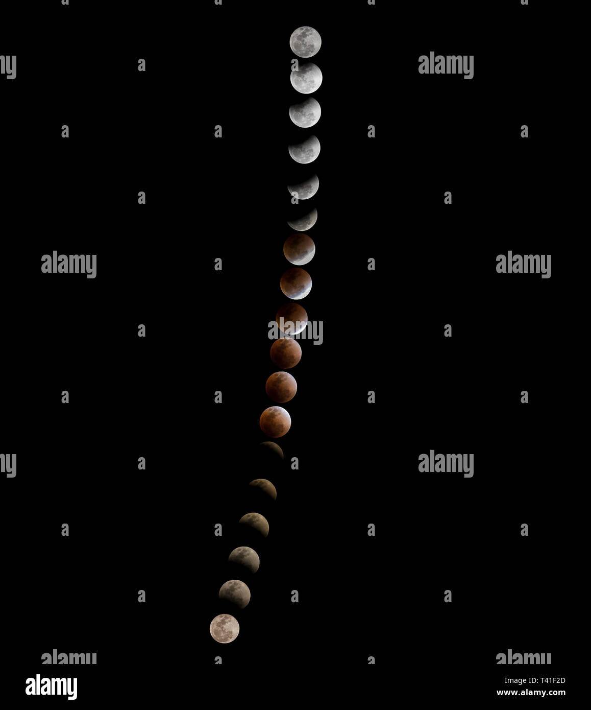 Blood Moon in the lunar eclipse and also a Blue Moon and super moon ...