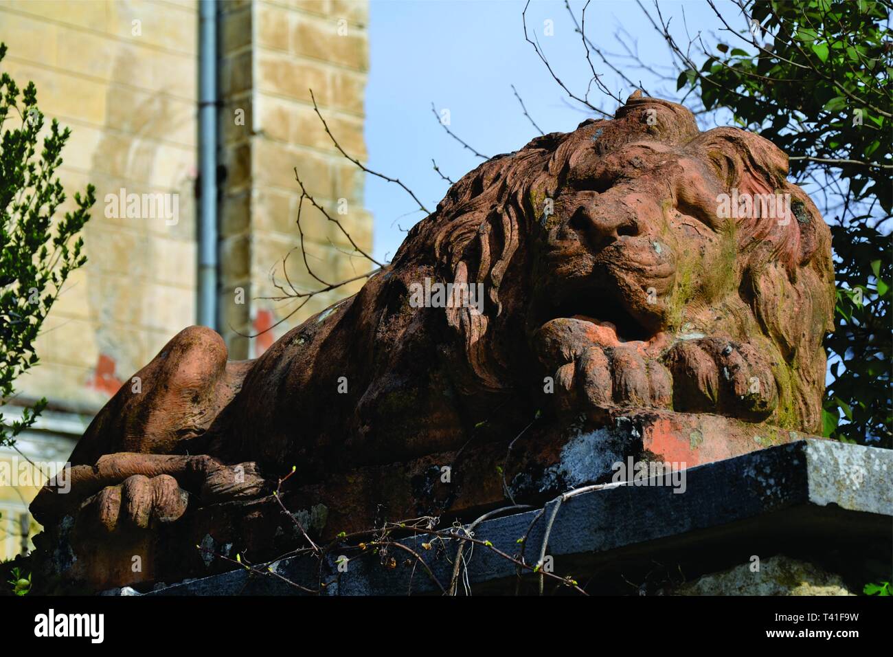 lying lion statue Stock Photo Alamy