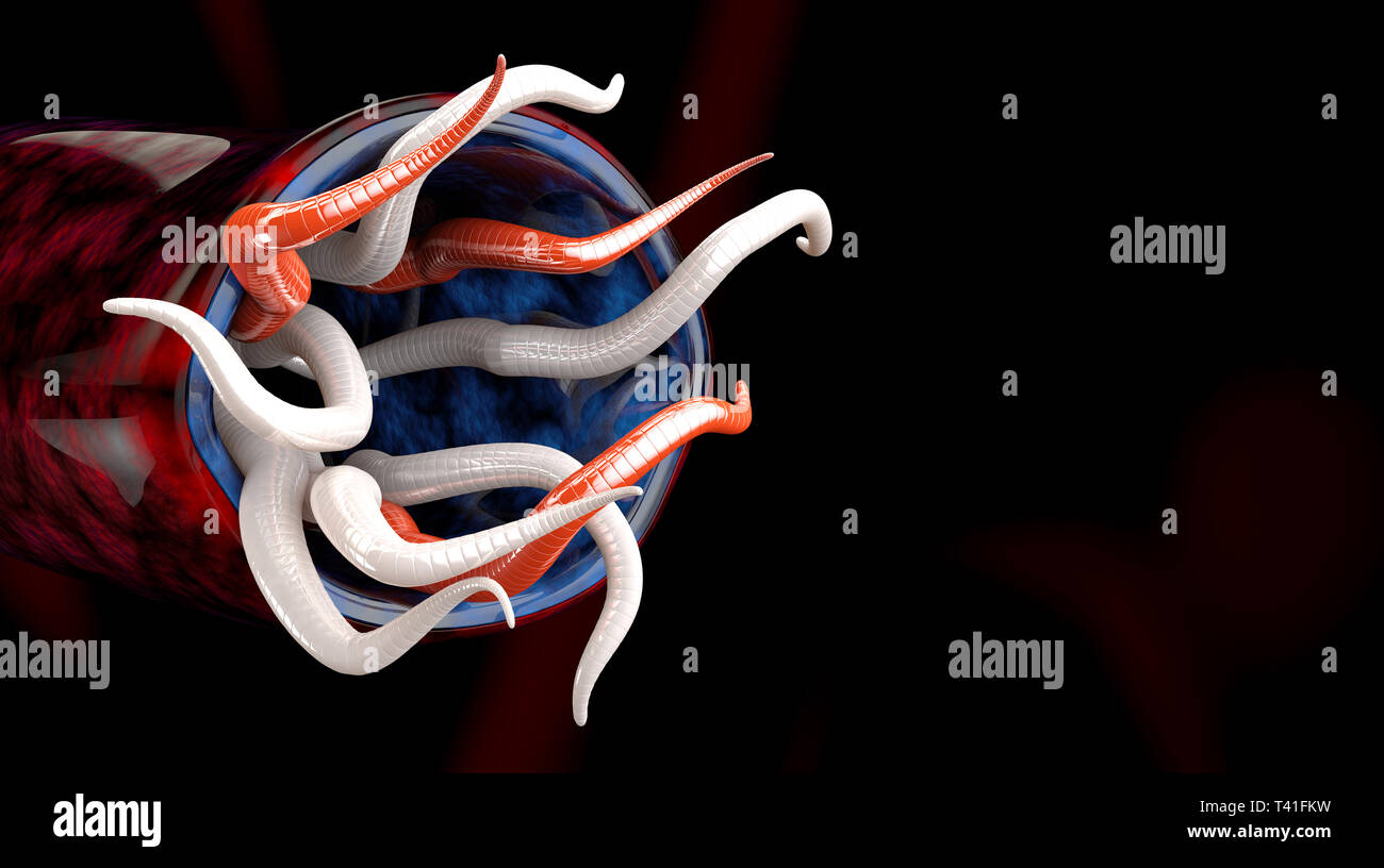 Helmints Image Group of Helminths isolated black background. 3d Illustration Stock ...