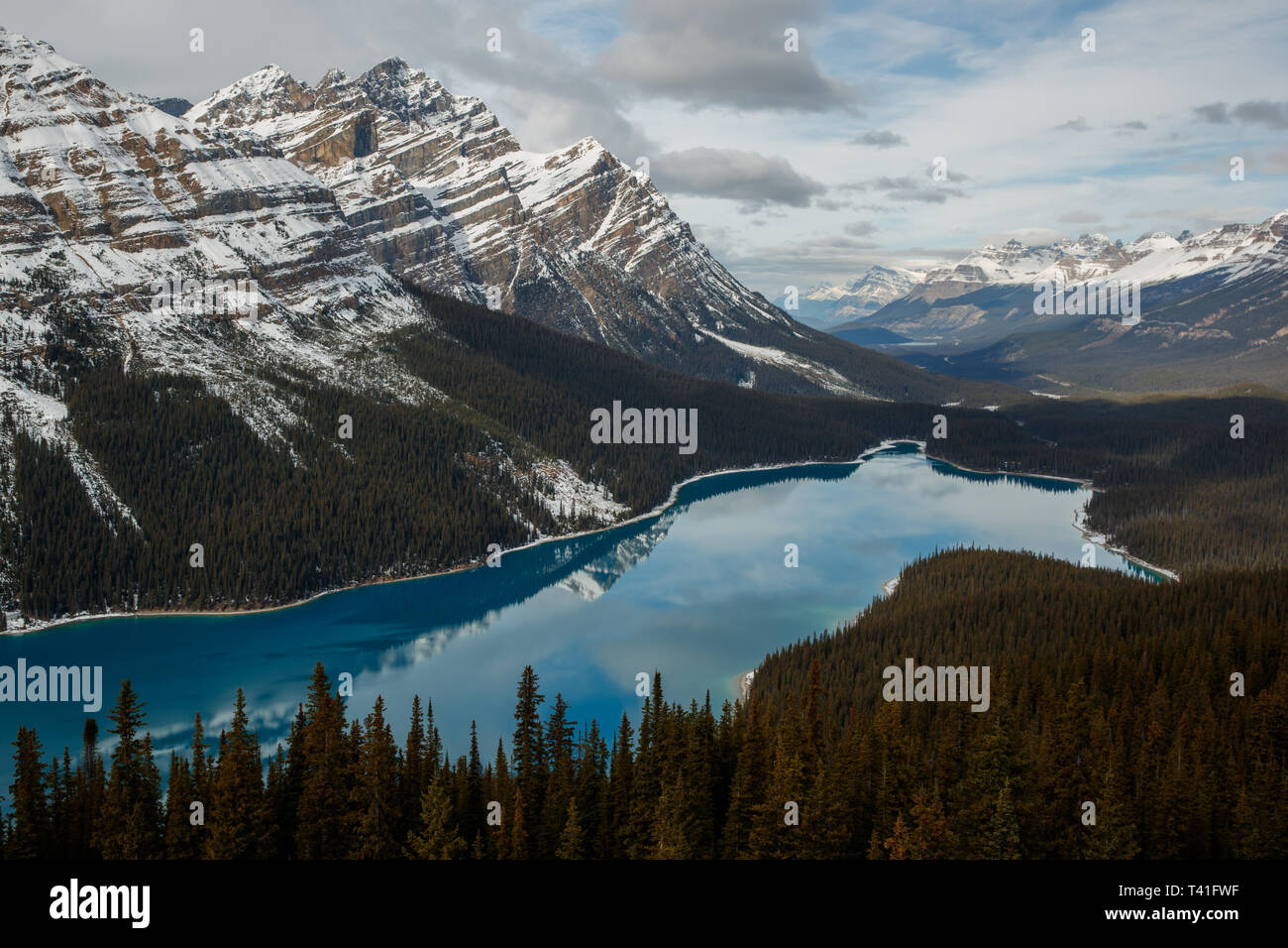 Lake Peyto in Banff National Park Stock Photo - Alamy