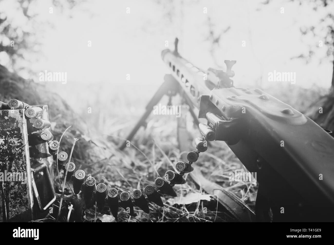 World War II German Wehrmacht Infantry Soldier Army Weapon. MG 42 Machine Gun On Ground In Forest Trench. WWII WW2 German Ammunition. Photo In Black A Stock Photo