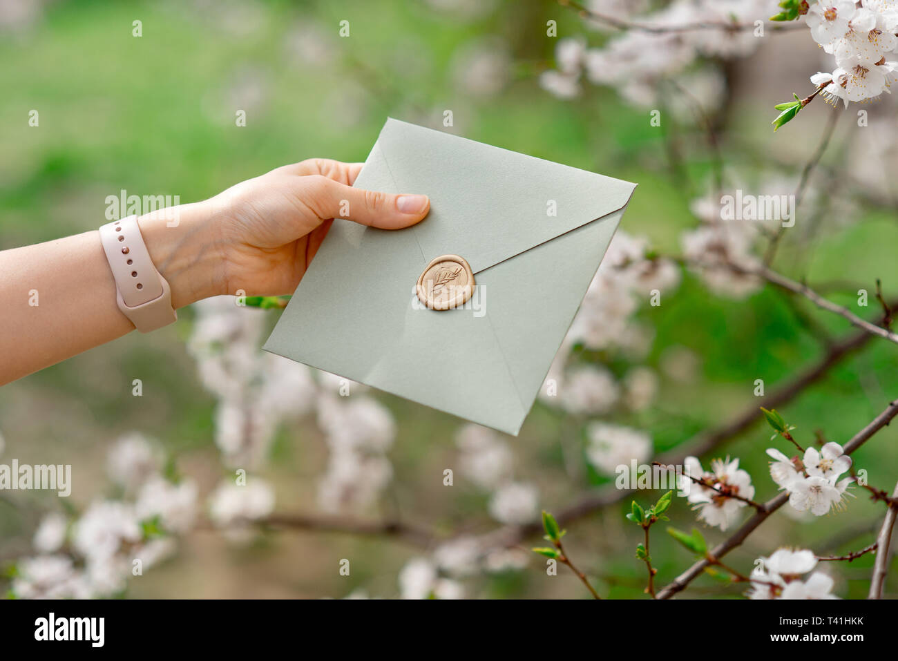 Close-up woman hand holding invitation card, back view Stock Photo - Alamy