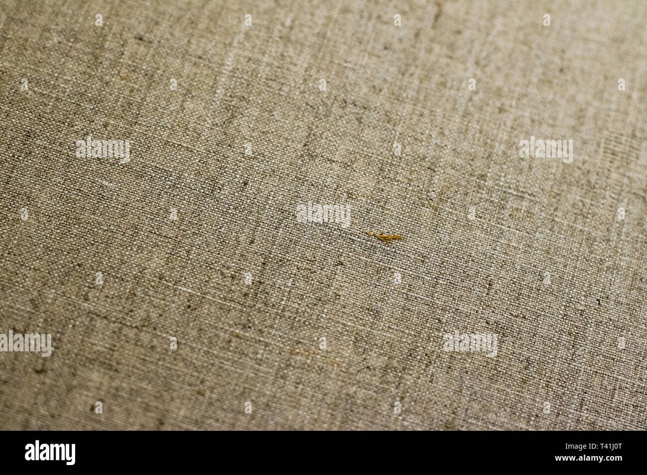 Natural realistic backdrop, material and artwork concept - Linen canvas ...