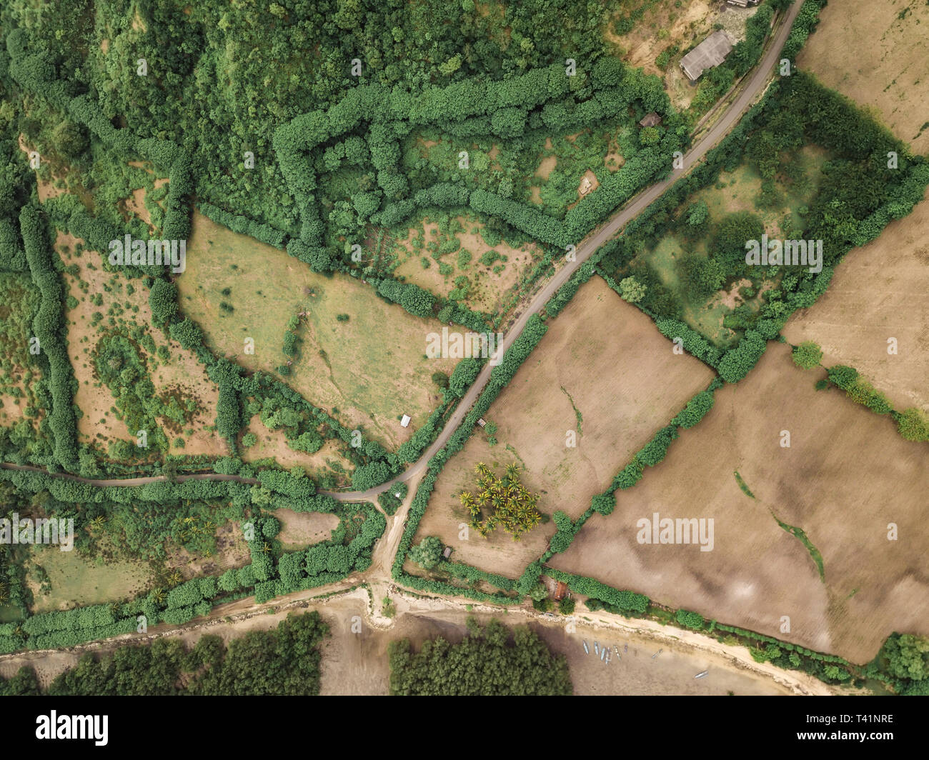 Aerial view of road Stock Photo