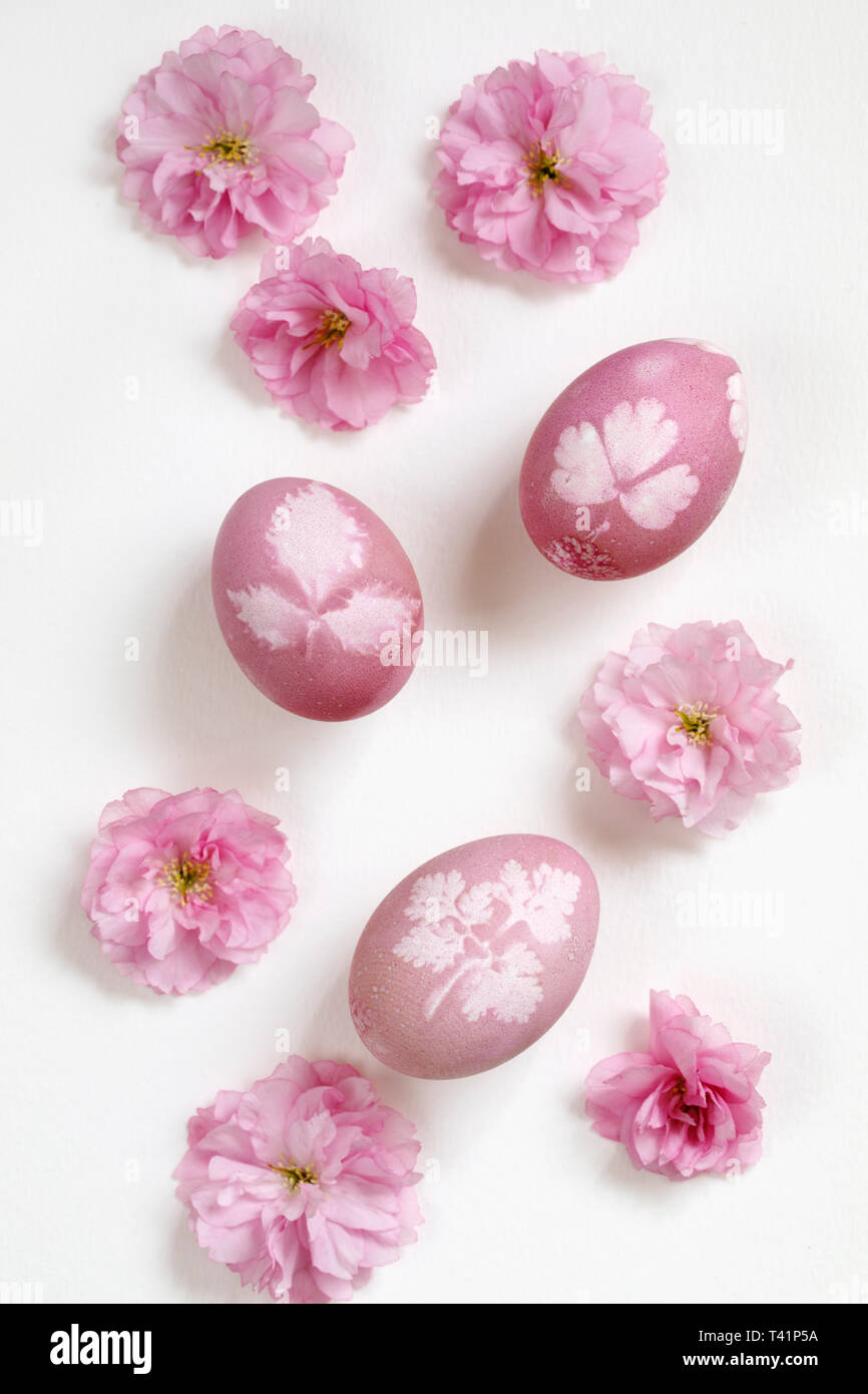 Naturally dyed easter eggs Stock Photo