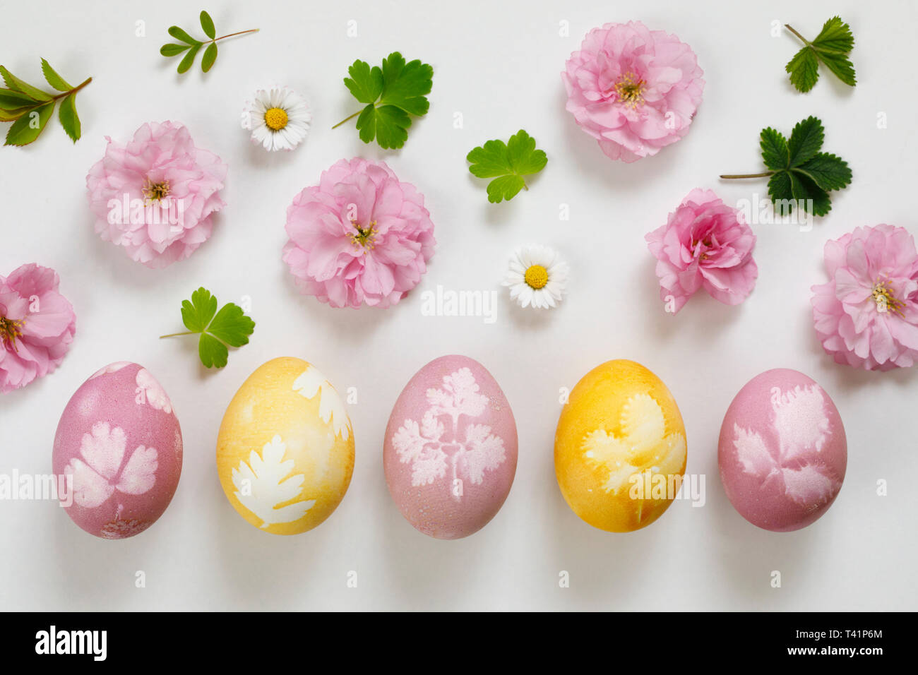 Naturally dyed easter eggs Stock Photo