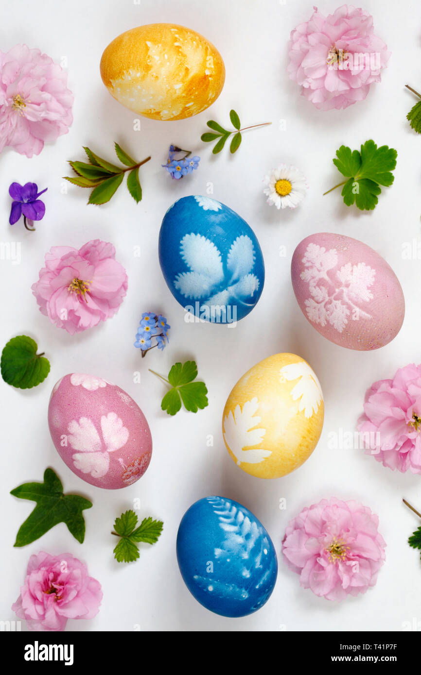 Naturally dyed easter eggs Stock Photo