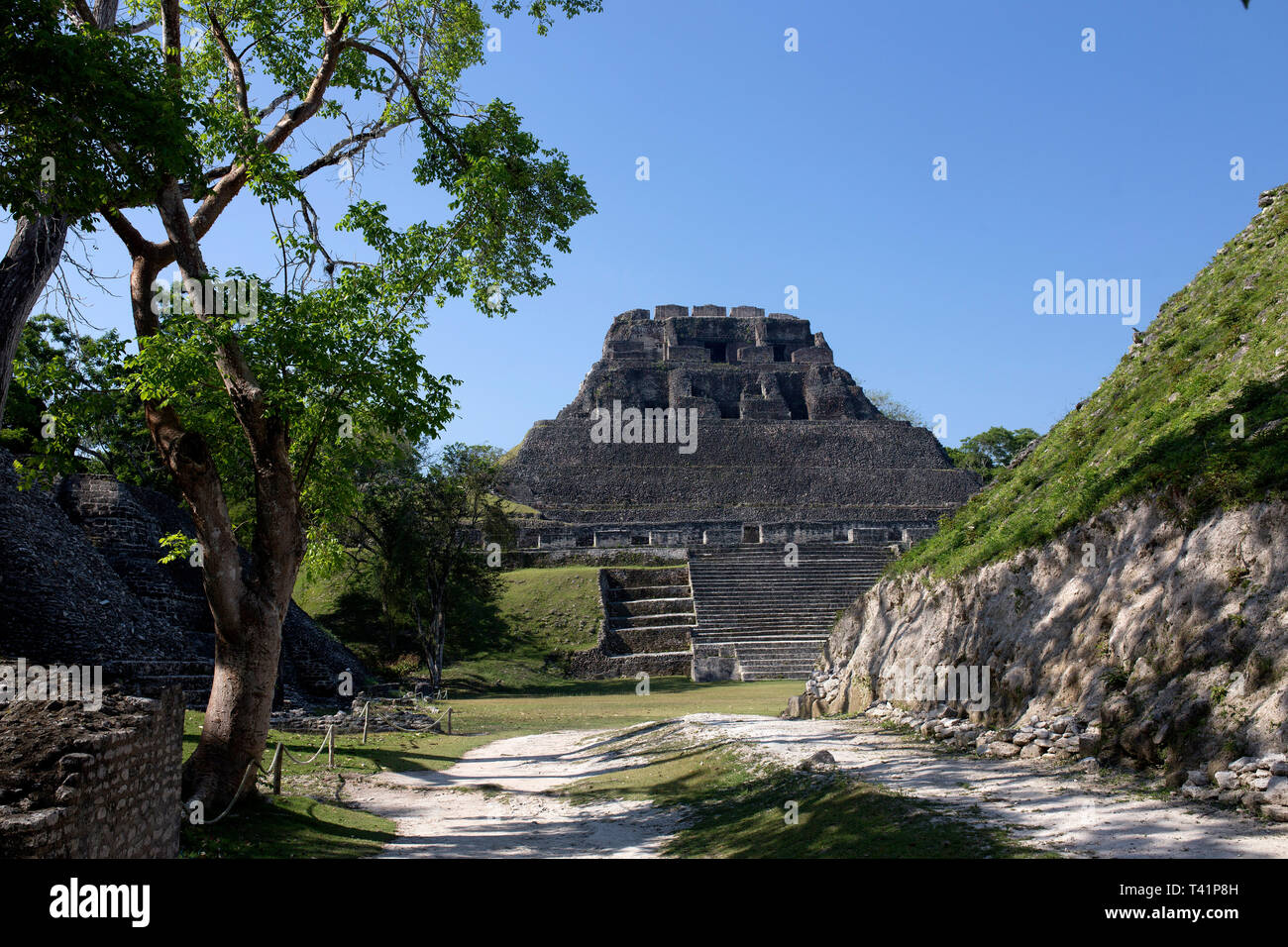 Ruins in western Belize Stock Photo Alamy