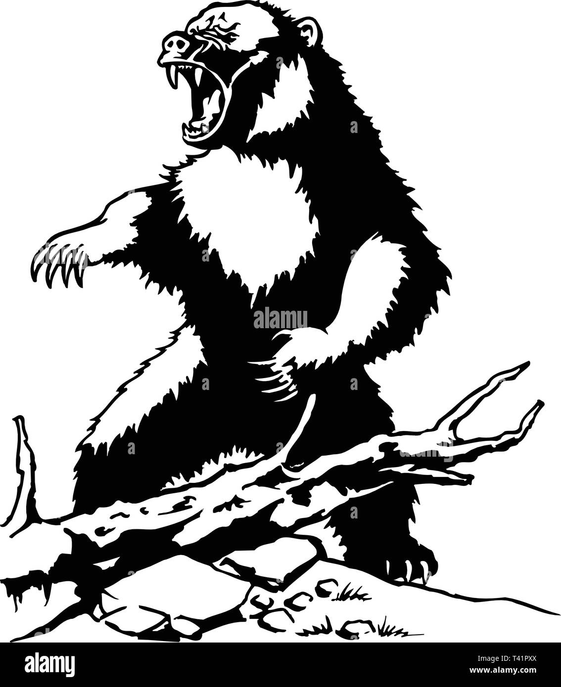 Bear Vector Illustration Stock Vector Image & Art - Alamy