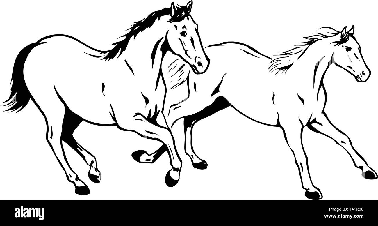 Horses Vector Illustration Stock Vector Image & Art - Alamy