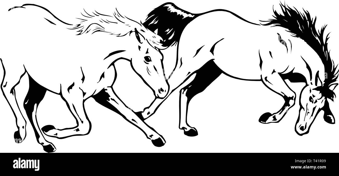Horses Vector Illustration Stock Vector Image & Art - Alamy