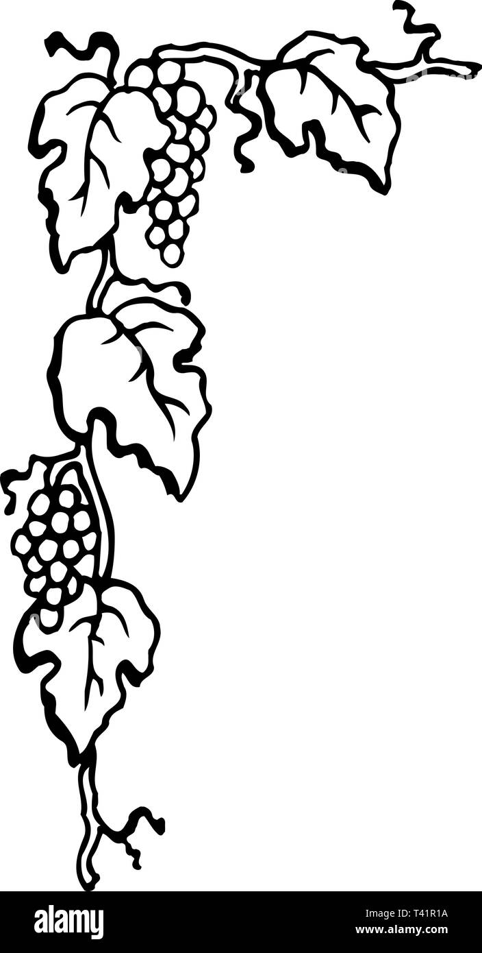 Grape Border Corner Vector Illustration Stock Vector Image & Art Alamy
