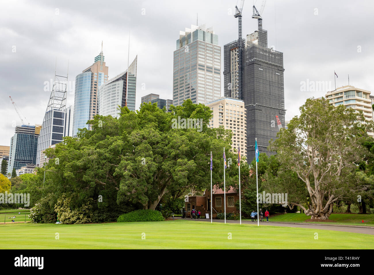 Skyscrapers on Sydney Macquarie street in Sydney city centre,New South Wales,Australia Stock Photo