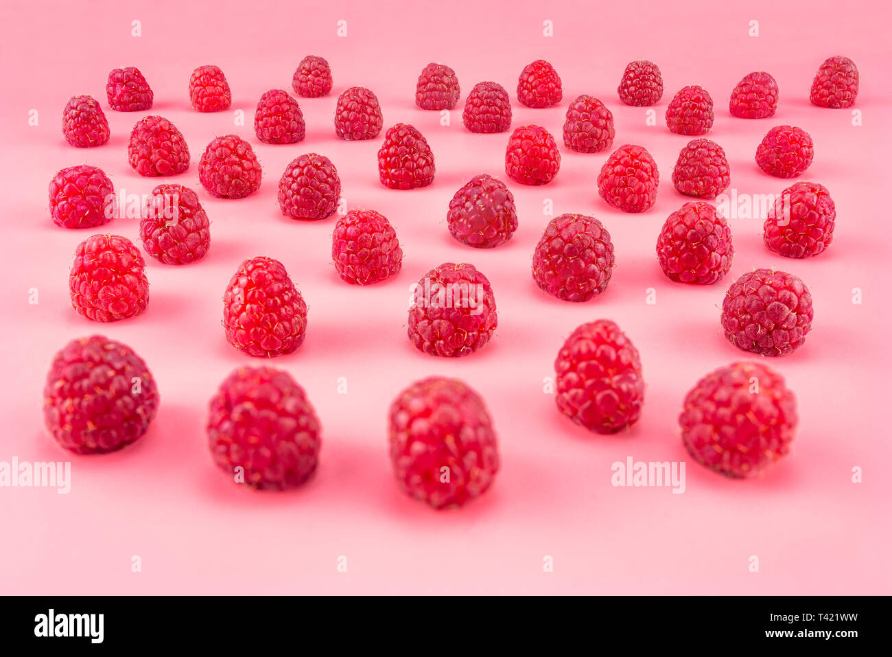Pattern made from fresh raspberries, view from the skew, isolated on a ...