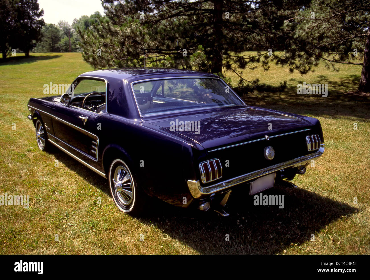 Mustang 1966 Coupe