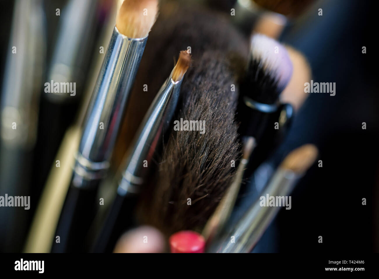 Set of makeup brushes in case close Stock Photo