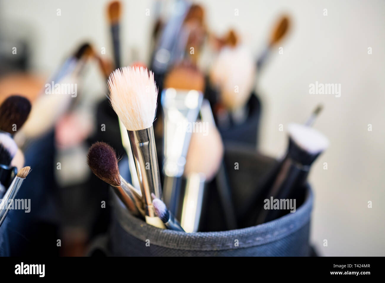 Set of makeup brushes in case close Stock Photo