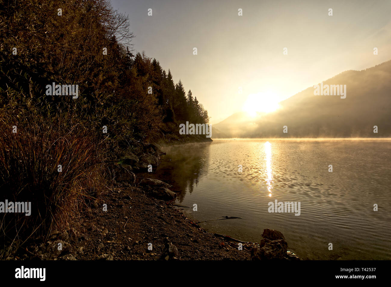 Morning Glow Stock Photo