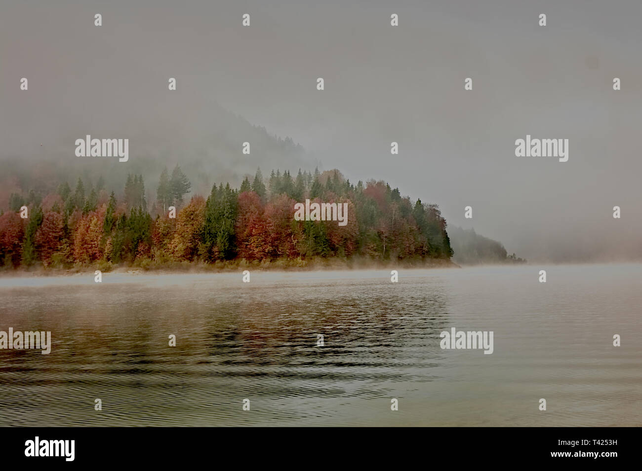 Lake Sylvenstein Stock Photo