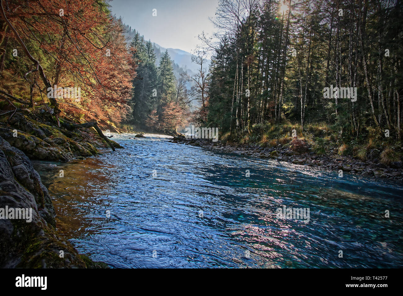Wandering near wild water Stock Photo